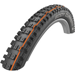 Schwalbe Eddy Current 29-inch Front 