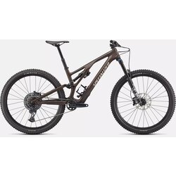Specialized Stumpjumper EVO Comp