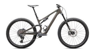 Specialized Stumpjumper 15 Expert
